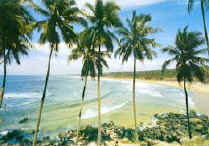Kovalam Beach 2